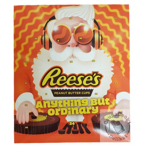 Reese's Adventi naptár 248g